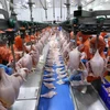 Dây chuyền chế biến thịt gà của nhà máy Công ty cổ phần Chăn nuôi C.P. Việt Nam. (Ảnh: Vũ Sinh/TTXVN)