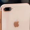 Mẫu iPhone 5,5inch mới được cho là sẽ có kiểu dáng giống iPhone 8Plus. (Nguồn: The Verge)