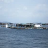 [Mega Story] Nuôi biển để phát triển bền vững nghề cá Việt Nam