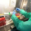 Nhân viên y tế xử lý mẫu bệnh phẩm COVID-19 tại phòng thí nghiệm của bệnh viện Circolo di Varese, Italy ngày 3/4/2020. (Nguồn: AFP/TTXVN)