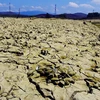 Nắng nóng, khô hạn khiến các hồ chứa tại Bình Thuận cạn trơ đáy. (Ảnh: Nguyễn Thanh/TTXVN)