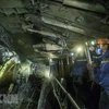Công nhân làm việc dưới hầm than. (Nguồn: TTXVN)