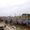 Các tàu cá tại cảng cá Tân Sơn, huyện Thái Thụy, Thái Bình. (Ảnh: Thu Hoài/TTXVN)