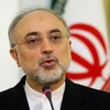 Giám đốc Cơ quan Năng lượng Nguyên tử Iran Ali Akbar Salehi. (Nguồn: presstv.ir)