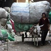 Bất ổn chính trị khiến kinh tế Ai Cập suy thoái. (Nguồn: wp.com)