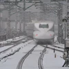 Tuyết phủ trắng tại nhà ga ở Tokyo. (Nguồn: AFP-TTXVN)