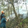 Các lực lượng chức năng và người dân nỗ lực dập các đám cháy rừng trong trong vùng lõi vườn Quốc gia Hoàng Liên. (Ảnh: Nguyễn Thắng/TTXVN)