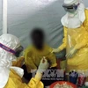 Điều trị cho bệnh nhân nhiễm virus Ebola. (Nguồn:TTXVN))