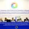 ASEAN cam kết đẩy mạnh bảo tồn đa dạng sinh học