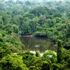 Brazil lập vùng bảo tồn sinh thái rừng Amazon rộng 6.000km2