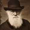 Các nhà khoa học đã tìm ra lời giải cho “thế lưỡng nan của Darwin”?