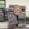 Brazil tịch thu 8 tấn cần sa được tuồn vào từ Paraguay