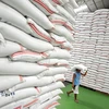 Chính phủ Thái Lan tiếp tục chào thầu "xả bán" 247.000 tấn gạo 