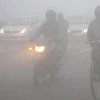 Ấn Độ: Hoạt động giao thông tê liệt vì giá lạnh và sương mù