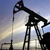 Giá dầu tạm ngưng đà giảm sau nhiều phiên "đổ dốc"