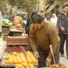 Kinh tế Ai Cập dự kiến tăng trưởng 2,9% trong tài khóa 2015