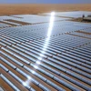 UAE: Giá dầu giảm sẽ không ảnh hưởng đến năng lượng tái tạo