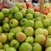 Indonesia cấm bán táo nhập khẩu từ Mỹ do lo ngại vi khuẩn
