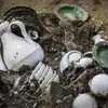Trung Quốc: Tìm thấy 60.000 cổ vật trên tàu buôn chìm hơn 800 năm