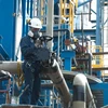 Ecuador ký thỏa thuận khai thác dầu khí với Chile và Belarus