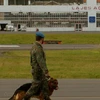 Bồ Đào Nha-Mỹ bất đồng về cắt giảm nhân viên ở căn cứ quân sự