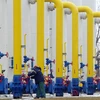 Ukraine kêu gọi công ty Mỹ tham gia tư nhân hóa ngành năng lượng