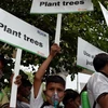 Trẻ em Ấn Độ tuần hành kêu gọi người dân nâng cao nhận thức về tình trạng ô nhiễm môi trường ở New Delhi ngày 4/6. (Nguồn: AFP/ TTXVN)