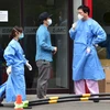 Nhân viên y tế Hàn Quốc tại Bệnh viện Samsung ở Seoul ngày 11/6. (Nguồn: AFP/ TTXVN)