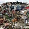 Sức tàn phá khủng khiếp của cơn bão Haiyan tại Philippines. (Nguồn: dailymail)