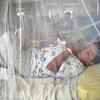 Trẻ em mắc sốt xuất huyết được điều trị tại bệnh viện ở Guatemala City, Guatemala. (Nguồn: AFP/ TTXVN)