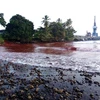 Bùn tràn gây ô nhiễm ở tỉnh Madang, Papua New Guinea, làm nhuộm đỏ nước biển và khu vực ven bờ. (Nguồn: google)
