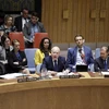 Trong ảnh: Đặc phái viên Nhà Trắng phụ trách vấn đề Trung Đông Jason Greenblatt (giữa, phía trước) phát biểu tại phiên họp Hội đồng Bảo an LHQ ở New York, Mỹ ngày 23/7/2019. (Nguồn: THX/TTXVN)