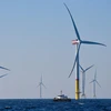 Một Tuabin gió tại Biển Baltic, miền bắc nước Đức. (Nguồn: AFP/TTXVN)