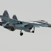 Máy bay chiến đấu Su-35 của Nga. (Nguồn: AFP/TTXVN)