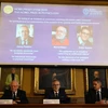 Ba nhà khoa học đoạt giải Nobel Vật lý 2019 (phía trên màn hình, từ trái sang): James Peebles, Michel Mayor và Didier Queloz được xướng danh tại Viện Khoa học Hoàng gia Thụy Điển Karolinska ở Stockholm ngày 8/10/2019. (Nguồn: AFP/TTXVN)