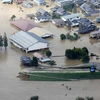 Nhật Bản: Mưa lớn cản trở công tác khắc phục hậu quả bão Hagibis