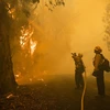 Mỹ: Bùng phát các đám cháy rừng mới ở bang California