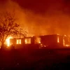Tổng thống Mỹ tranh cãi với lãnh đạo California về các vụ cháy rừng