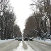 Mỹ: Bão tuyết khiến 1.000 người bị mắc kẹt tại bang Arizona