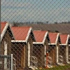 Trại tị nạn ở Tasmania (Nguồn: SMH)