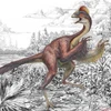 Loài khủng long mới Anzuwyliei. (Nguồn: abc.net.au) 