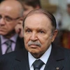 Đương kim Tổng thống Abdelaziz Bouteflika. (Nguồn: AFP)