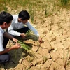 Trung Bộ chủ động đối phó tình trạng thiếu nước, khô hạn