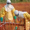 WHO cảnh báo dịch sốt Ebola đang lan rộng tại Tây Phi