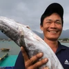 [Photo] Côn Đảo khai thác được 700 tấn thủy sản mỗi năm