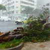 Nhật Bản: Siêu bão tràn qua Okinawa gây đình trệ giao thông