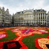 [Photo] Chiêm ngưỡng tấm thảm khổng lồ làm từ các loài hoa