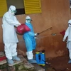 Thêm một bác sỹ người Nigeria bị nhiễm virus Ebola