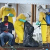 Liên minh châu Phi họp khẩn tìm cách đối phó dịch Ebola