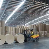 Tập đoàn Hong Kong khởi động lại dự án nhà máy giấy tại Hậu Giang